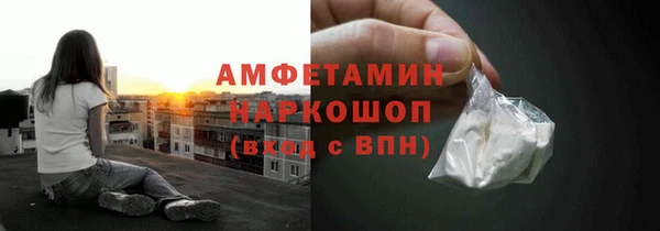 ПСИЛОЦИБИНОВЫЕ ГРИБЫ Верея